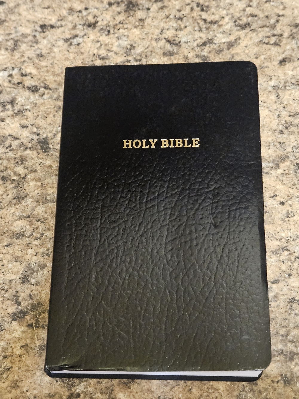 2019 Holy Bible in the Authorized King James Version Holman Bible
